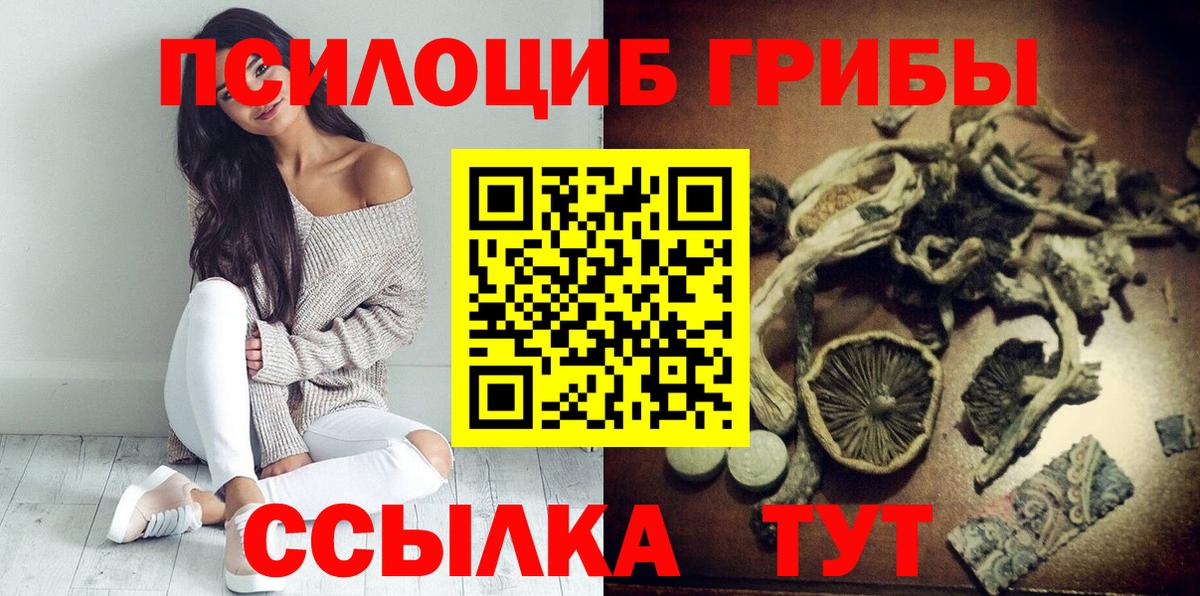 Галлюциногенные грибы Psilocybe Кумертау